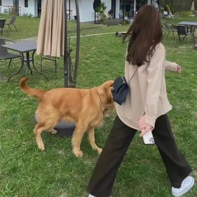 失落的王子